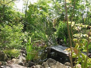 140513_140513_IMG_4392