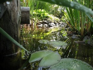 140513_140513_IMG_4400